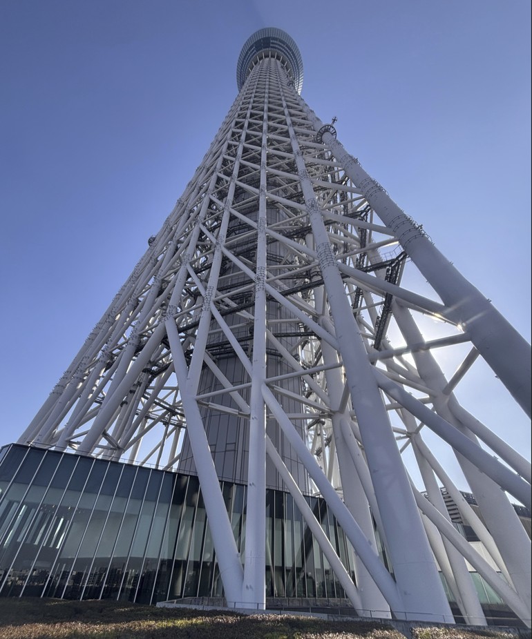 Daytime View From Look Up Cafe